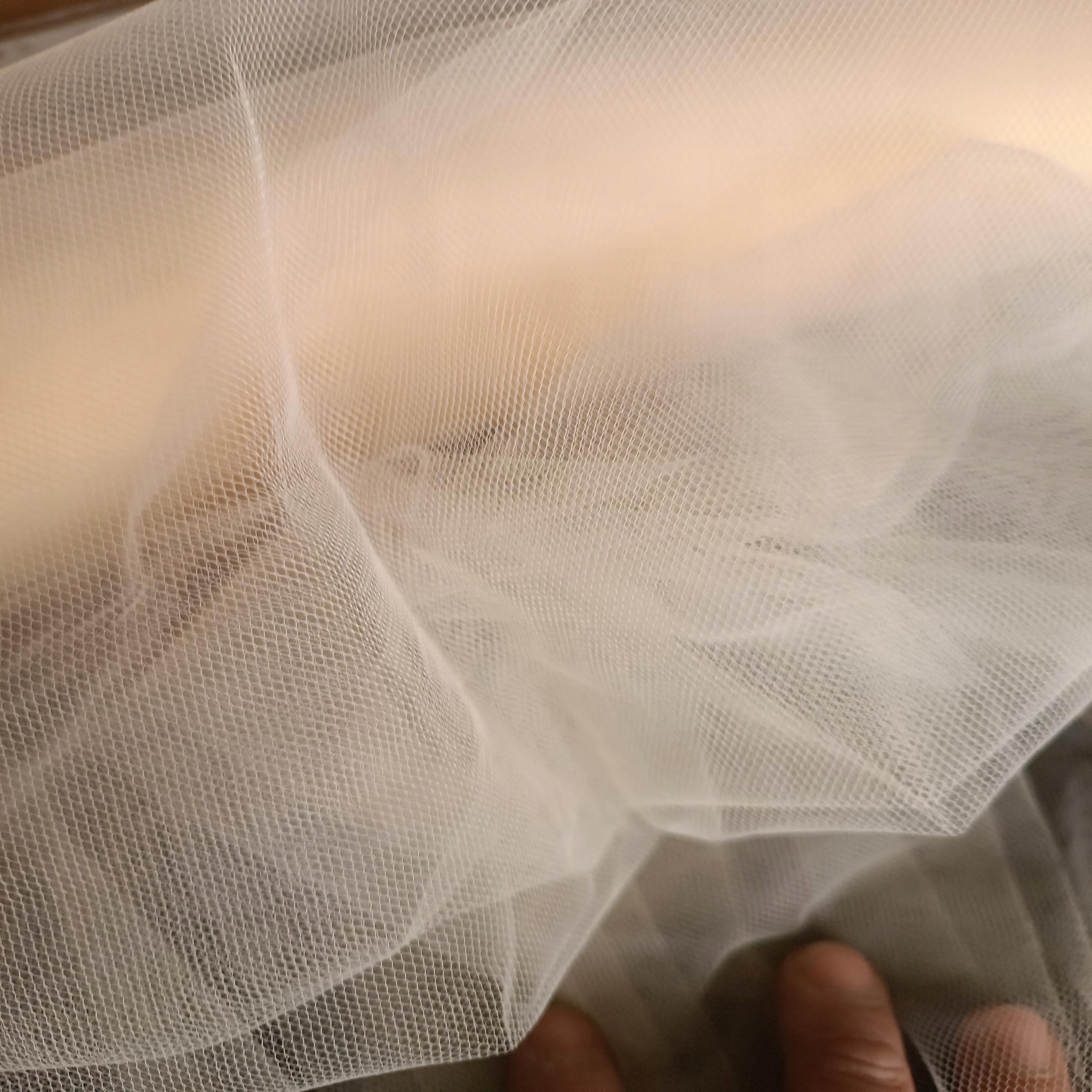 038a2cc04559a03eef883404b819